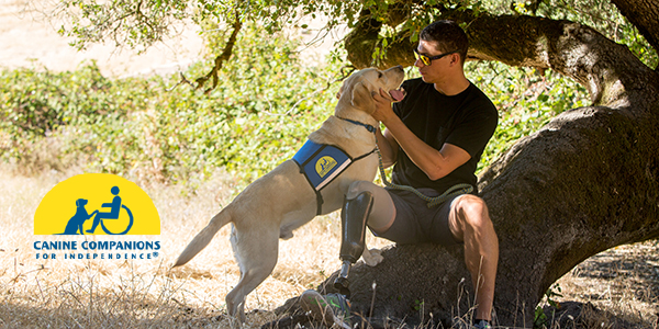 Canine Companions service dog with person who is sitting on a fallen tree
