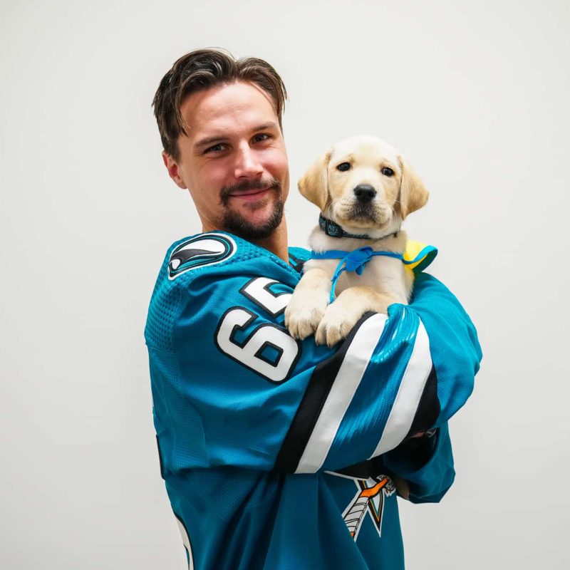 San Jose Sharks + Gill Calendar Jan Jose Sharks player in a jersey holding a yellow lab puppy in a yellow service vest