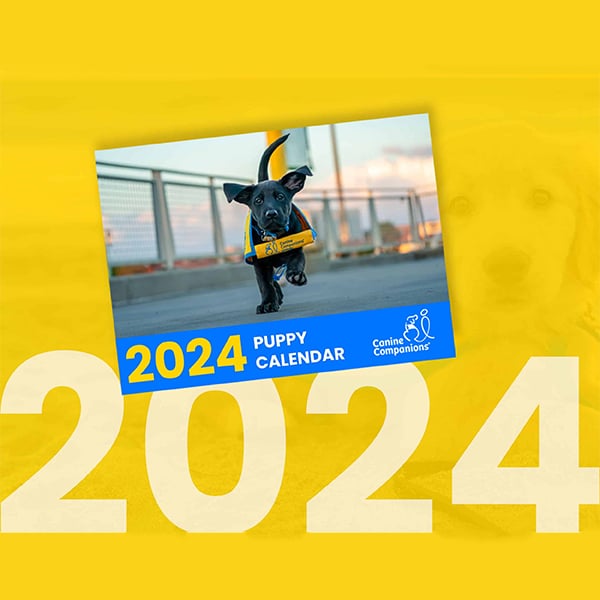 2024 cover of the puppy calendar on yellow background
