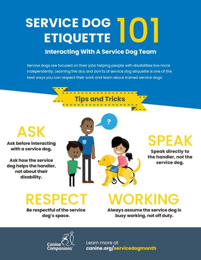 Service Dog Etiquette 101 infographic icon