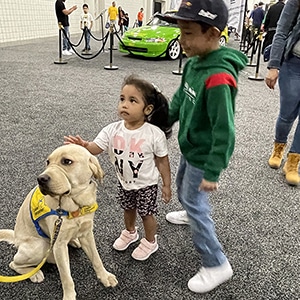 Future Service dog greets visitors at the NYC Auto Show