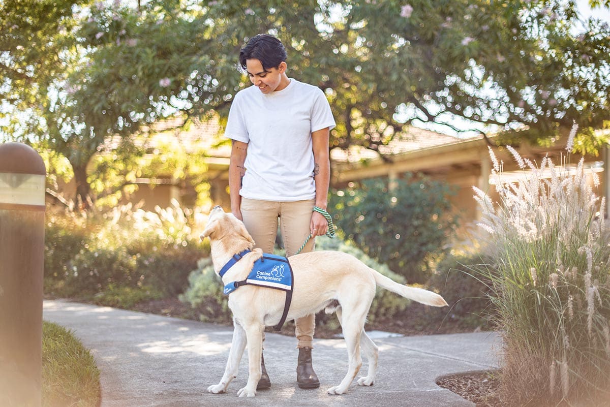 A female dog trainer smiles down at a yellow lab wearing a blue service vest