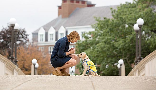 A young woman crouches down to speak to a very young yellow lab puppy in a yellow puppy cape