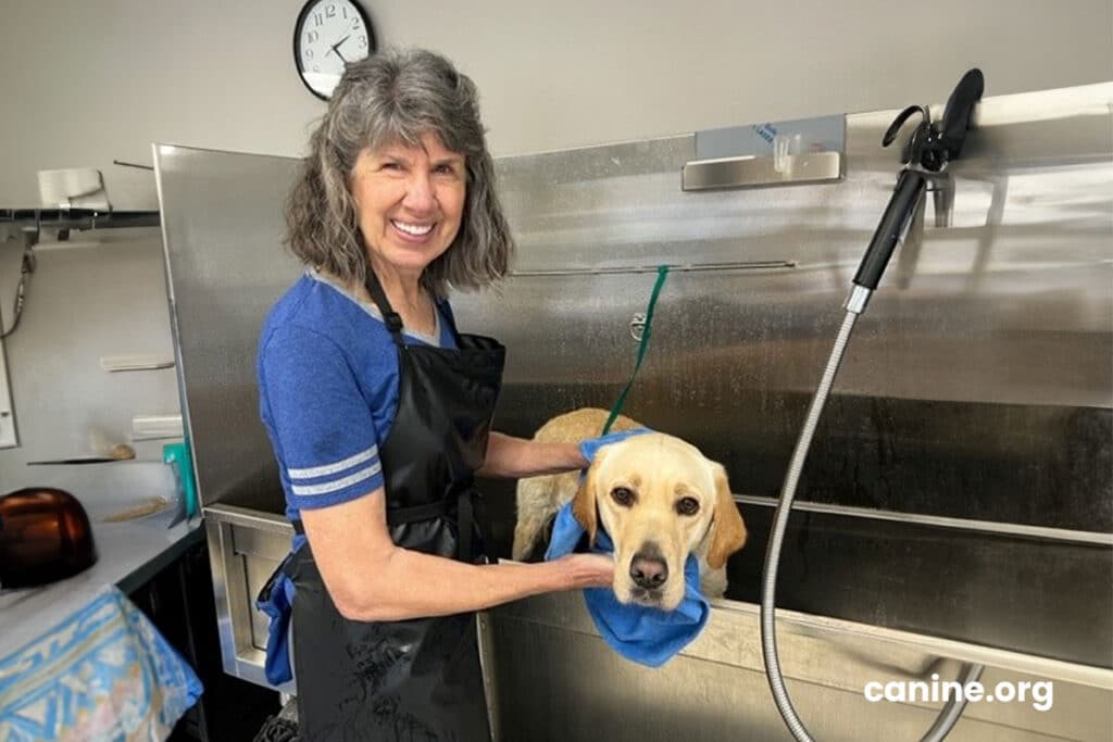 A smiling woman giving a dog a bath