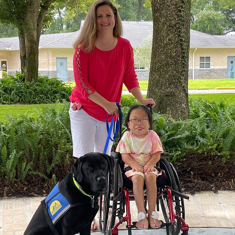 chappie A young Asian girl in a wheelchair smile with her parent and a black Labrador service dog