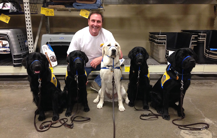 person with five Canine Companions puppies