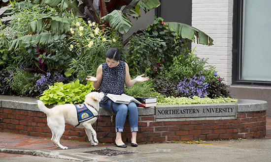 person with Canine Companions service dog