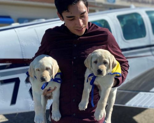 Owen Pilot A young man holds two puppies in front of an airplane