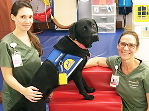 man sitting with yellow Canine Companions Service Dog on his lap