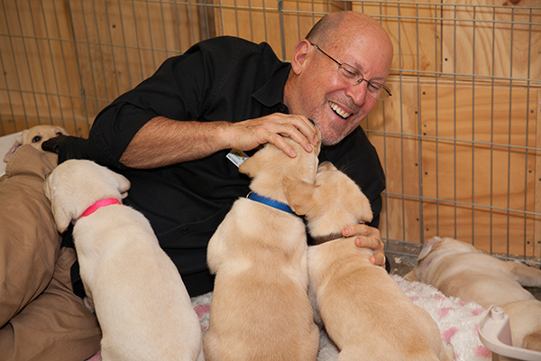 person with a litter of puppies