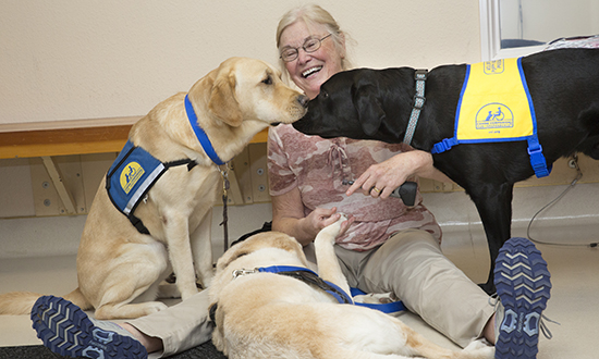 Canine Companions dogs hovering over person