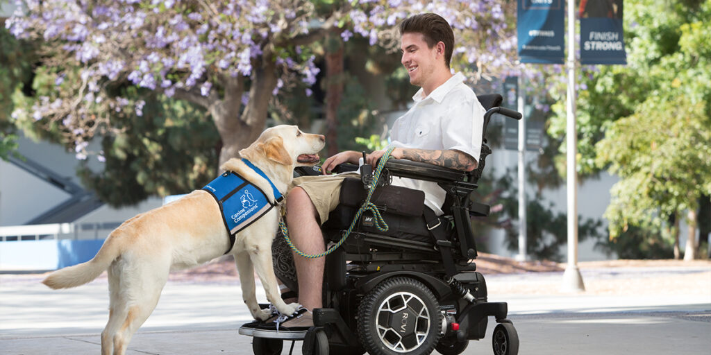 Canine Companions service dog doing step command