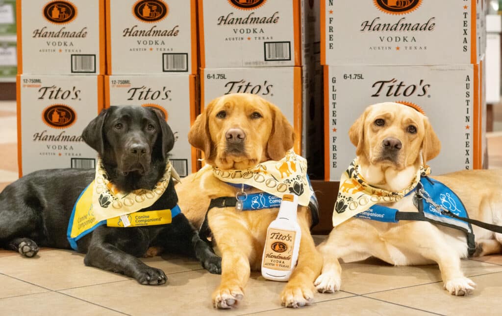 dogs in vests in front of Tito's Vodka boxes