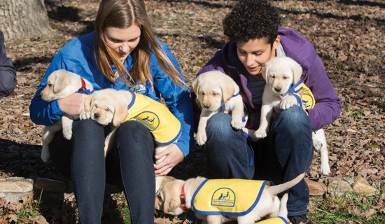 2 volunteers holding puppies