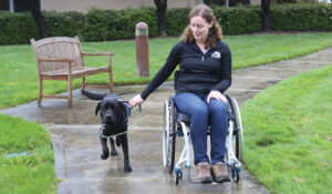 woman in wheelchair with assistance dog