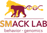 Arizona State SMack Lab logo