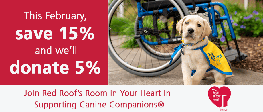 Image of a puppy in a yellow puppy cape sitting in front of a wheelchair. There is text saying This February save 15 percent and we'll donate 5 percent. Next to the text is the Red Roof logo.