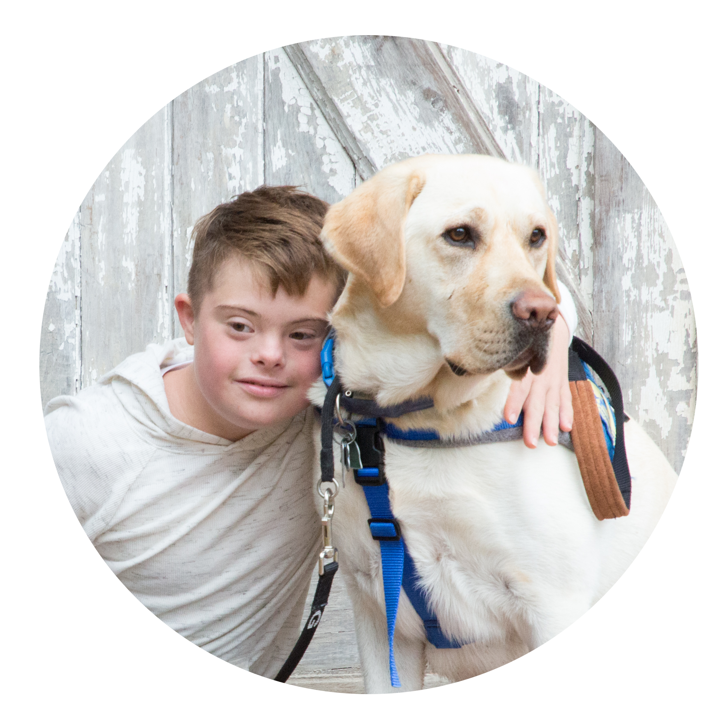 boy and yellow lab